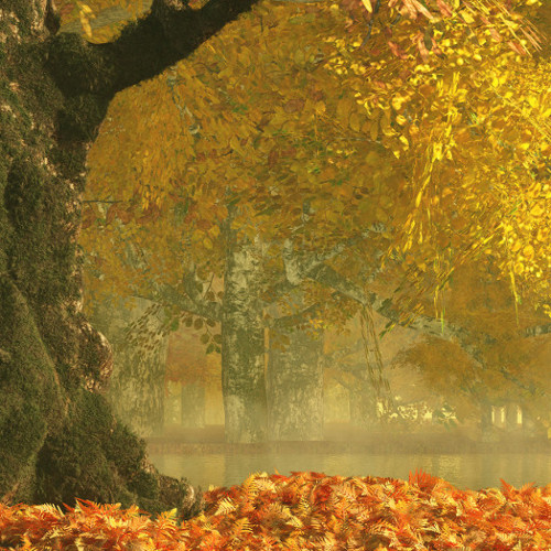 backgrounds